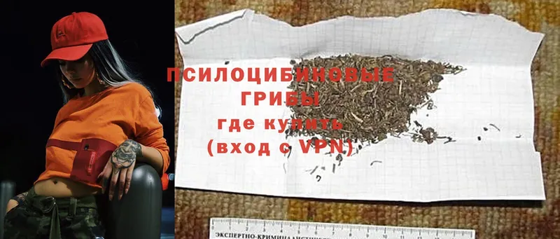 MEGA как зайти  продажа наркотиков  Бирюсинск  Псилоцибиновые грибы Psilocybe 